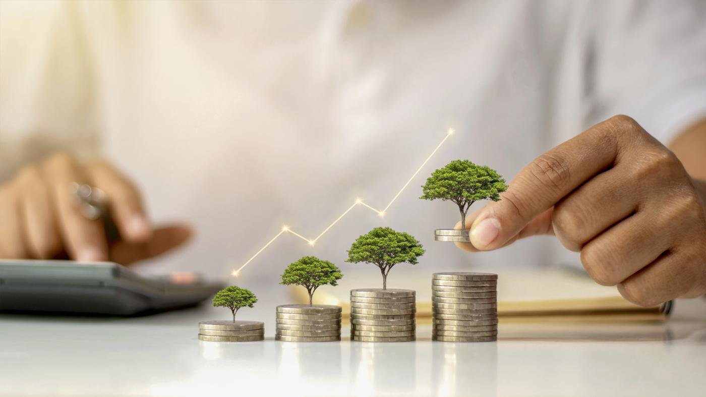 International Dividend Opportunities