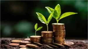 Mutual fund investment calculator