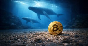 Bitcoin Whale Liquidation Sparks Extreme Fear