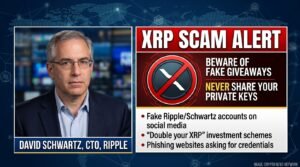 XRP Scam Alert David Schwartz Warns Holders