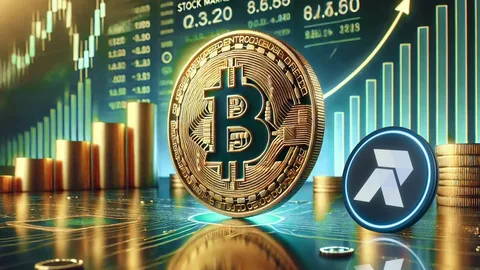 Bitcoin price rally