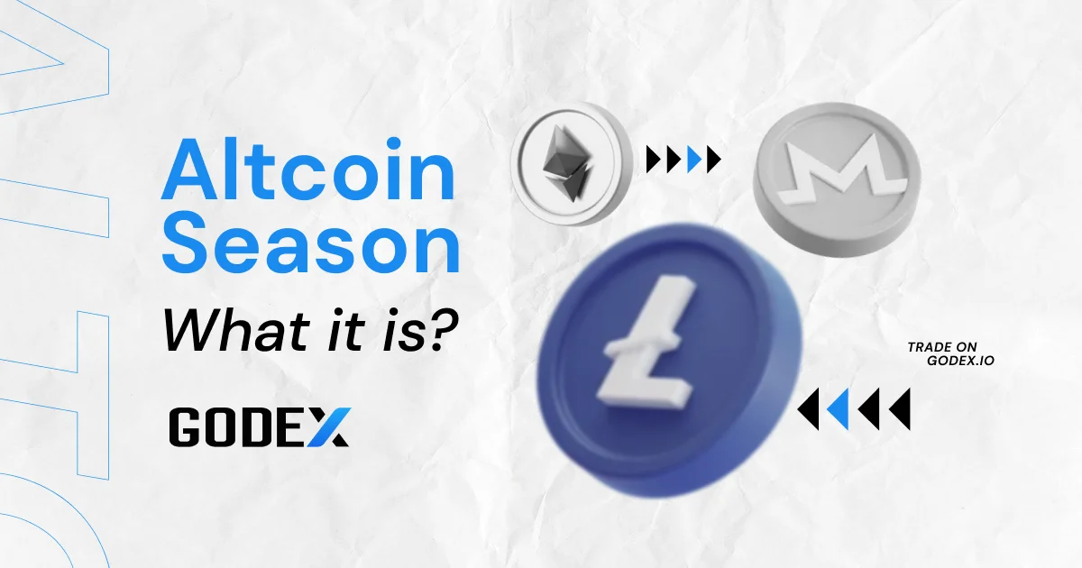 How Altcoin Seasons Develop